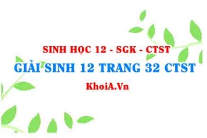 Giải Sinh 12 trang 32 Chân trời Sáng tạo